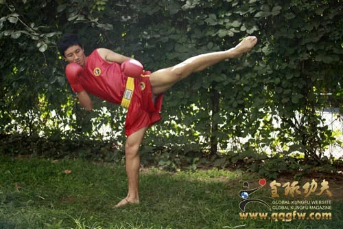 85版本男散打和官方下载同步课堂,深入数据解析策略_至尊版_v8.673